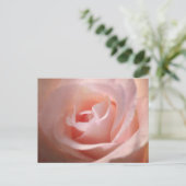 Carte postale rose (Debout devant)