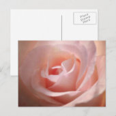 Carte postale rose (Devant / Derrière)