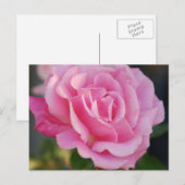 Carte postale rose (Devant / Derrière)