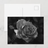 Carte Postale Rose (Devant / Derrière)
