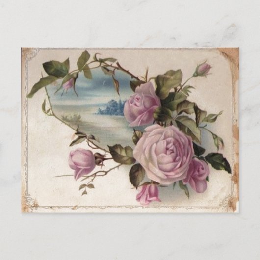 Carte Postale Rose (Devant)