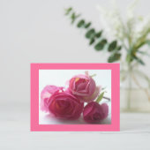 Carte Postale rose (Debout devant)