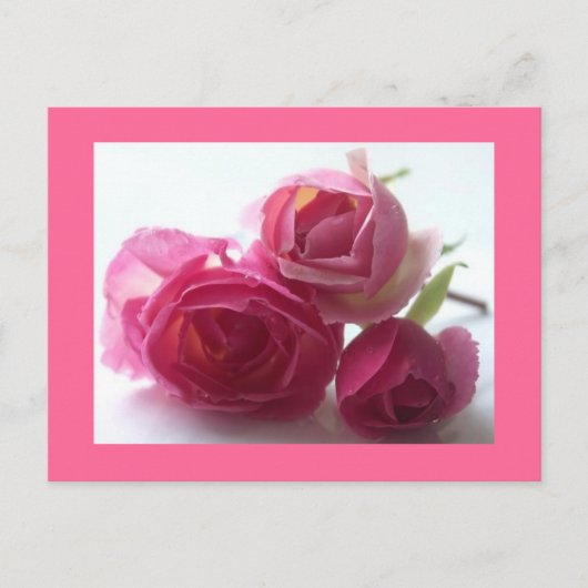 Carte Postale rose (Devant)
