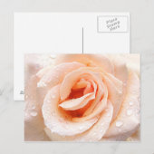 Carte postale rose (Devant / Derrière)