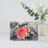 Carte postale rose (Debout devant)