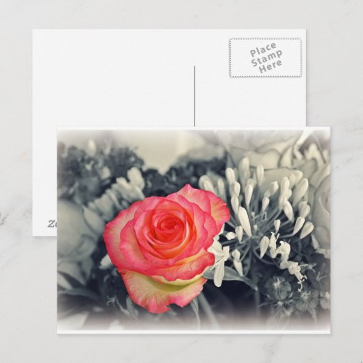 Carte postale rose (Devant / Derrière)