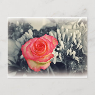 Carte postale rose