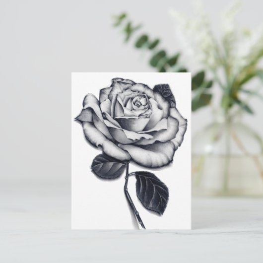 Carte postale rose (Debout devant)