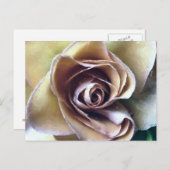 CARTE POSTALE ROSE (Devant / Derrière)