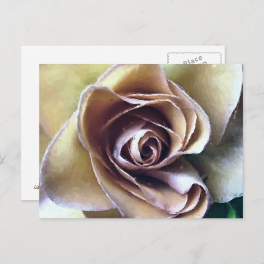 CARTE POSTALE ROSE (Devant / Derrière)