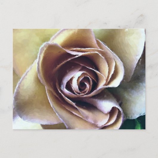 CARTE POSTALE ROSE (Devant)