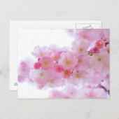 Carte postale rose (Devant / Derrière)