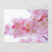 Carte postale rose (Devant)