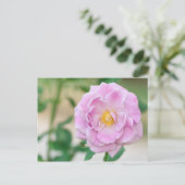 Carte Postale Rose (Debout devant)