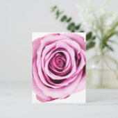Carte postale rose (Debout devant)