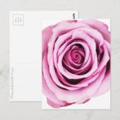 Carte postale rose (Devant / Derrière)