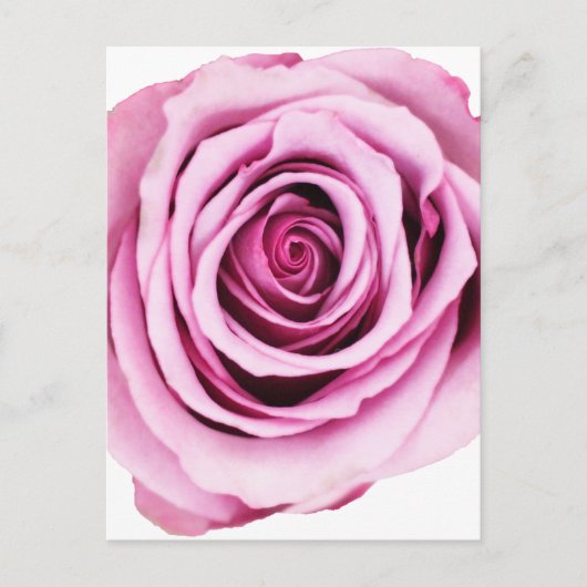 Carte postale rose (Devant)