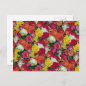 Carte Postale rose (Devant / Derrière)