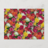 Carte Postale rose (Devant)