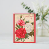 Carte Postale Rose (Debout devant)