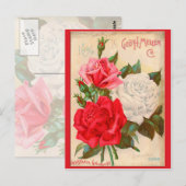 Carte Postale Rose (Devant / Derrière)