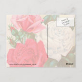 Carte Postale Rose (Dos)