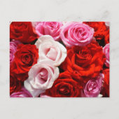 Carte Postale Rose (Devant)