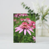 Carte Postale Rose (Debout devant)