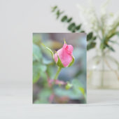 Carte postale rose (Debout devant)