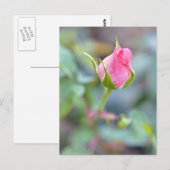 Carte postale rose (Devant / Derrière)