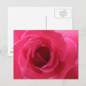 Carte Postale rose (Devant / Derrière)