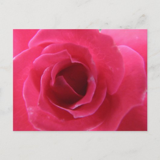 Carte Postale rose (Devant)
