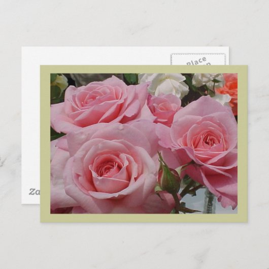 Carte postale rose (Devant / Derrière)