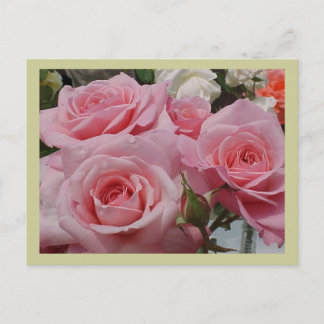 Carte postale rose