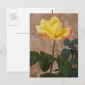 Carte postale rose (Devant / Derrière)