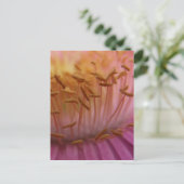 Carte postale rose (Debout devant)