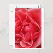 Carte postale rose (Devant / Derrière)