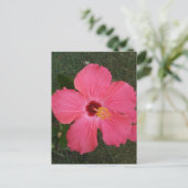 Carte postale rose (Debout devant)