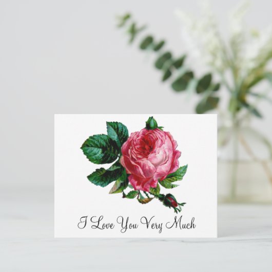 Carte postale Rose (Debout devant)