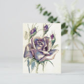 CARTE POSTALE ROSE 3 (Debout devant)