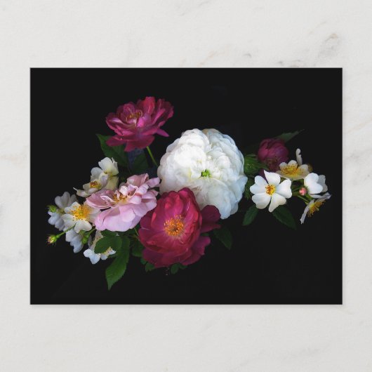 Carte Postale Rose à l'ancienne (Devant)