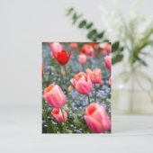 Carte postale rose Amsterdam Springtime Tulips (Debout devant)