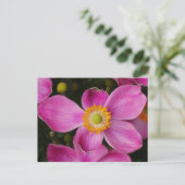 Carte postale rose Anémon (Debout devant)
