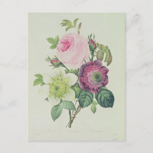 Carte Postale Rose, anémone et clématide (Devant)