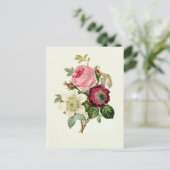 Carte Postale Rose, Anemone et Clematis par Pierre-Joseph Redout (Debout devant)