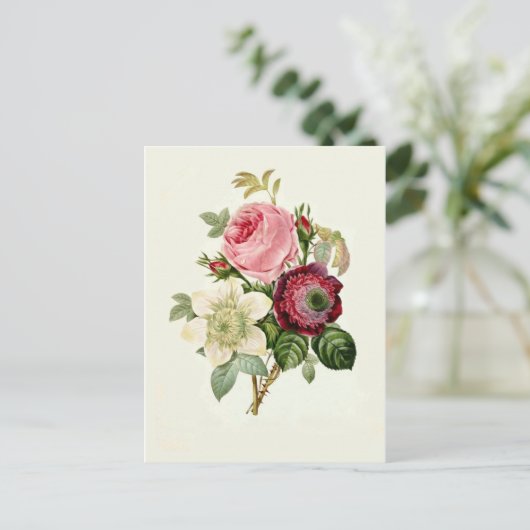 Carte Postale Rose, Anemone et Clematis par Pierre-Joseph Redout (Debout devant)