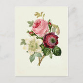 Carte Postale Rose, Anemone et Clematis par Pierre-Joseph Redout (Devant)