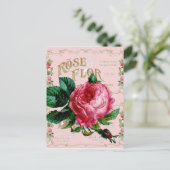 Carte Postale Rose anglais SHABBYCHIC rose vintage (Debout devant)