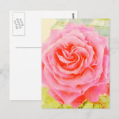 Carte postale rose aquarelle (Devant / Derrière)