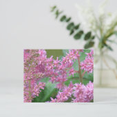 Carte postale Rose Astilbe Fleurs (Debout devant)
